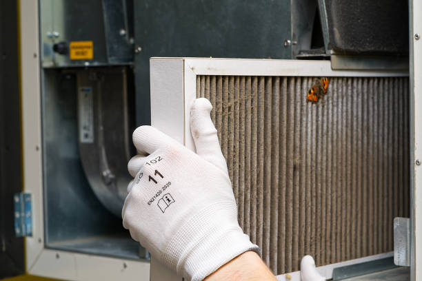Best Professional Duct Cleaning Services  in Dillingham, AK