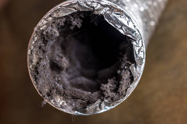 Best Home Air Vent Cleaning  in Dillingham, AK