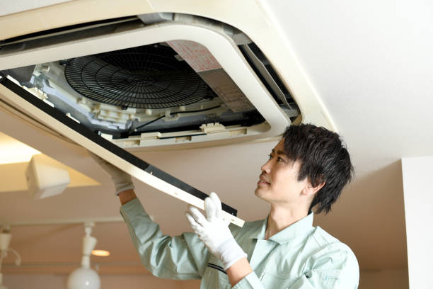 Best Affordable Air Duct Cleaning  in Dillingham, AK