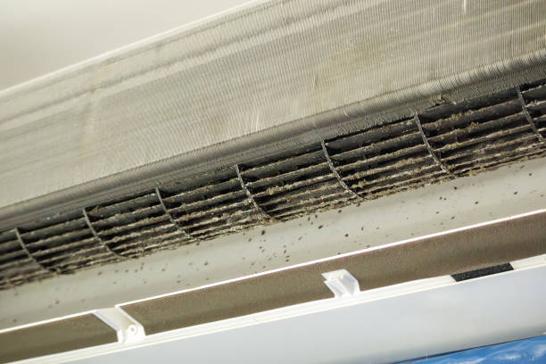 Air Duct Mold Removal in AK